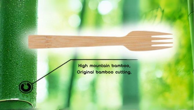 Bamboo Cutlery-Natural Green Bamboo