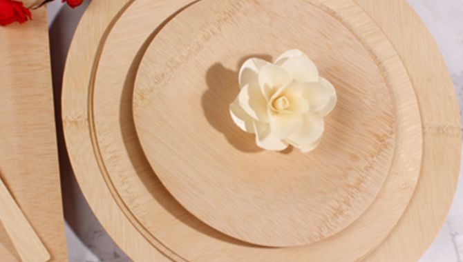 Bamboo Disposable Plates-1