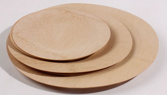 Bamboo Disposable Plates-1