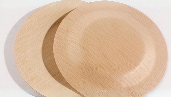 Bamboo Disposable Plates-3