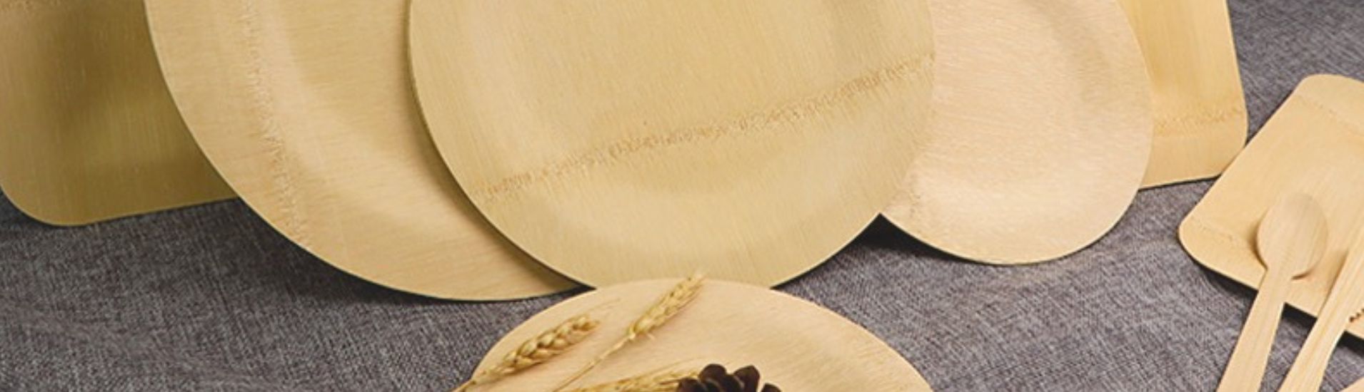 Bamboo Disposable Plates Wholesale