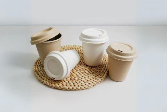 Bamboo Fiber Natural Cups