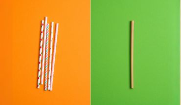 Bamboo Straws