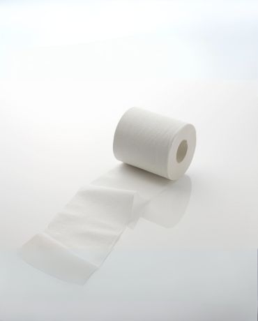 Bamboo Toilet Paper