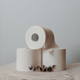 Bamboo Toilet Paper