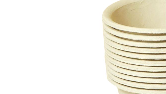 Disposable Bamboo Cups