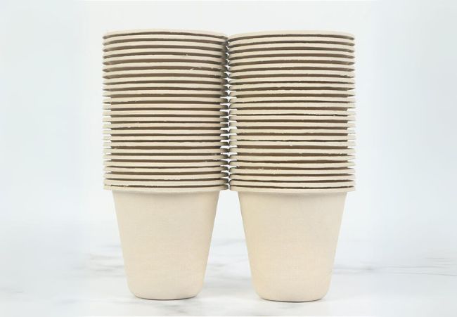 Disposable Bamboo Cups