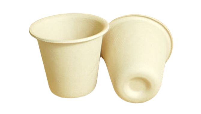 Disposable Bamboo Cups