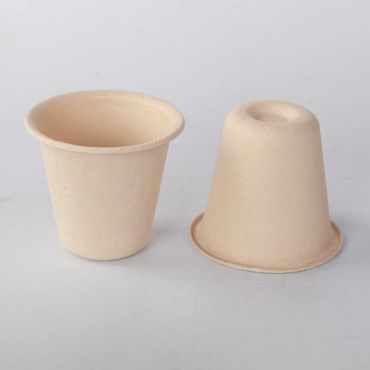 Disposable Bamboo Cups