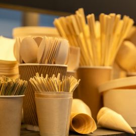 Market Trends and Demand for Biodegradable Tableware (2)