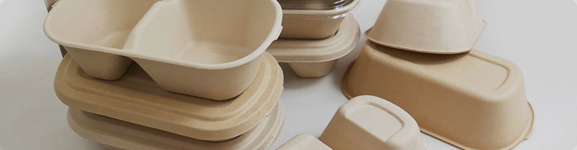 Panabam Bamboo Fiber Disposable Food Containers