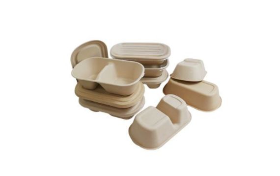 Panabam Disposable food container