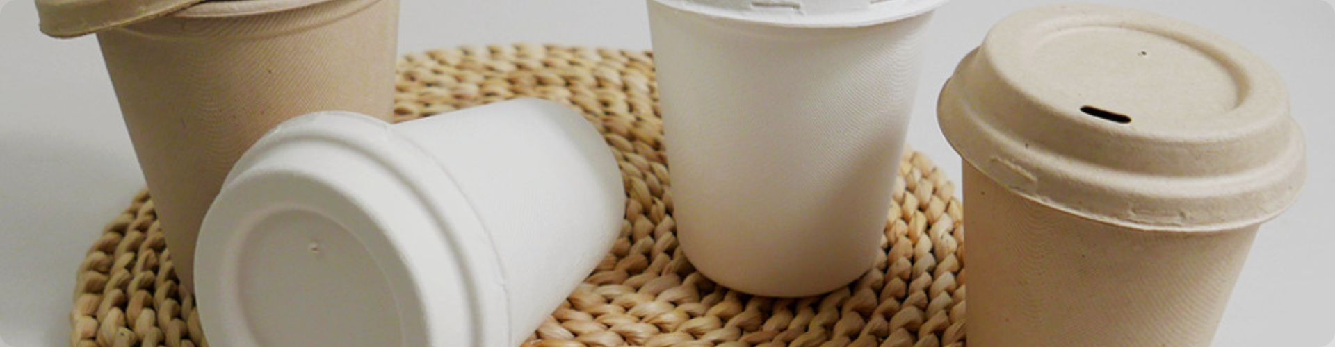 Your Expert Disposable Bamboo Cup Manufacturer