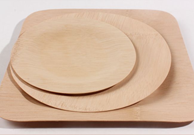 eco friendly disposable plates for wedding