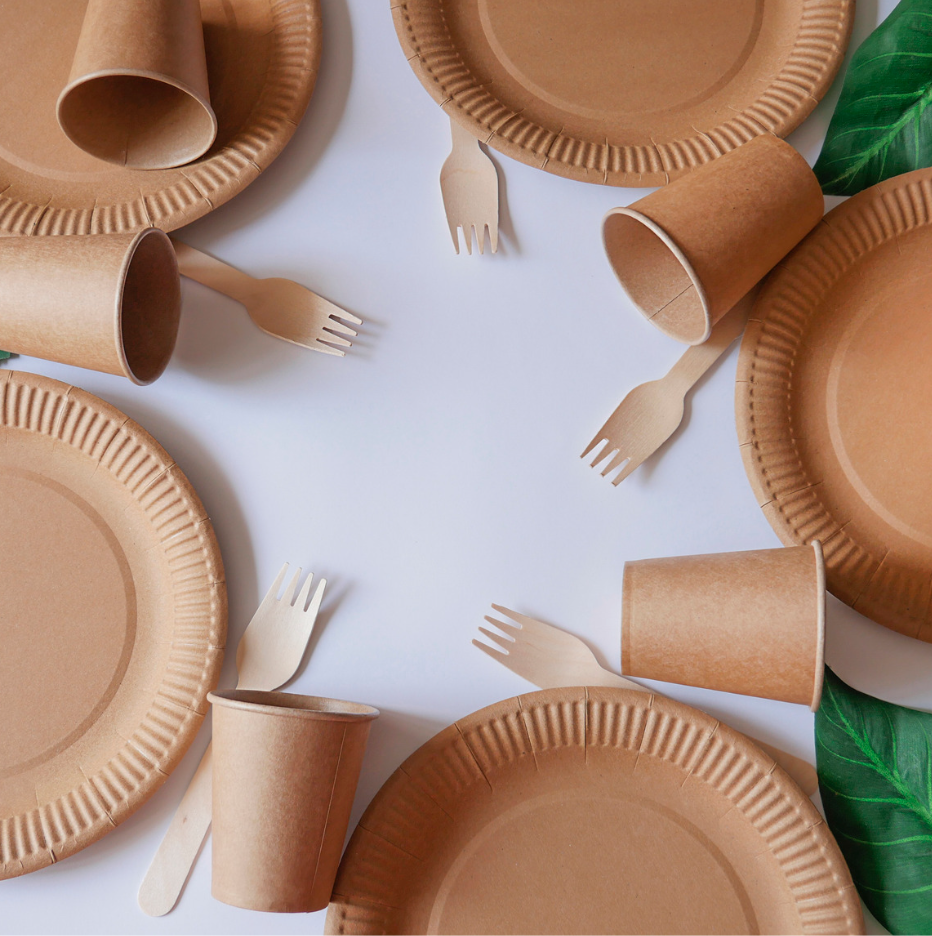 Biodegradable paper tableware set, eco-friendly cups, plates, and wooden forks