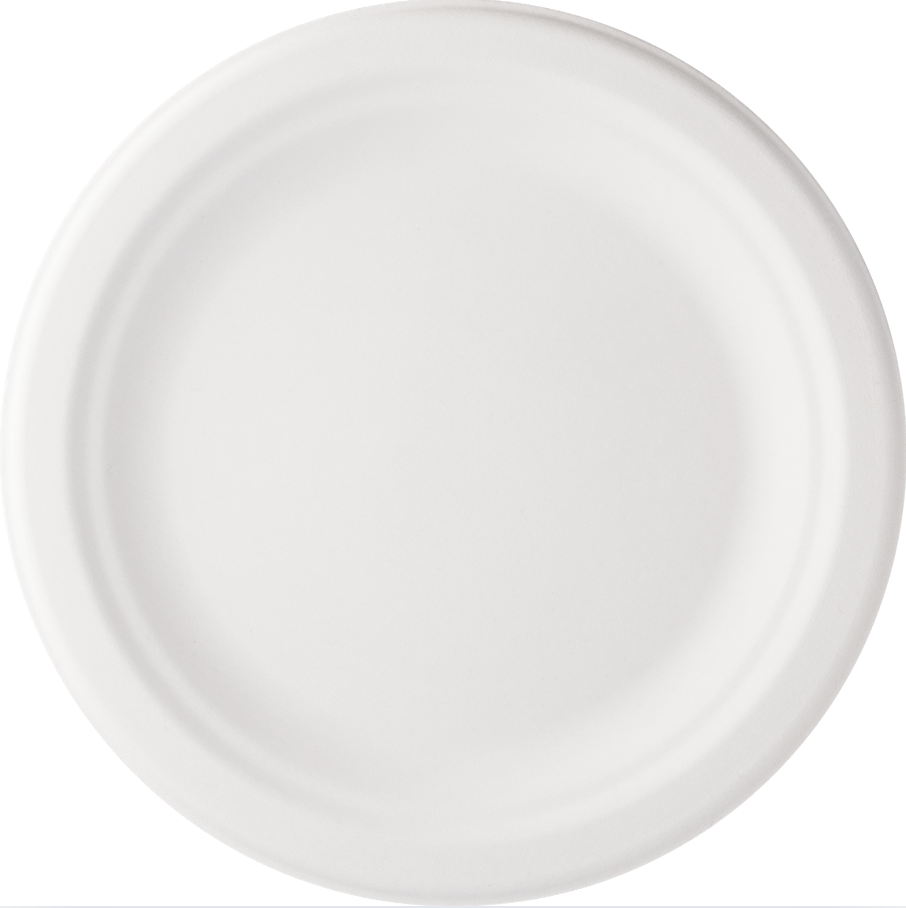 White biodegradable sugarcane bagasse plate, eco-friendly disposable dinnerware.