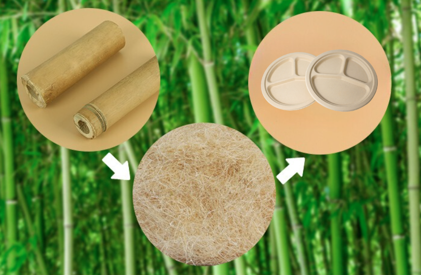 Bamboo transformation process: raw bamboo to fibers and eco-friendly plates