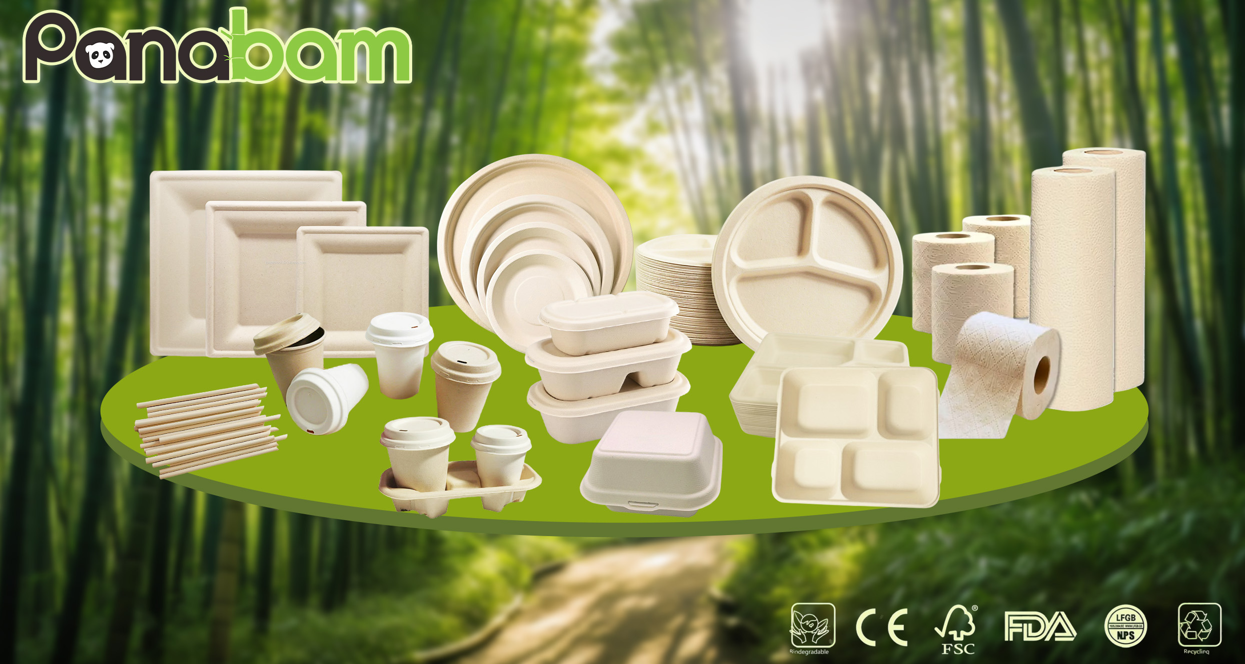 Panabam bamboo disposable tableware and paper towels: eco-friendly and compostable products