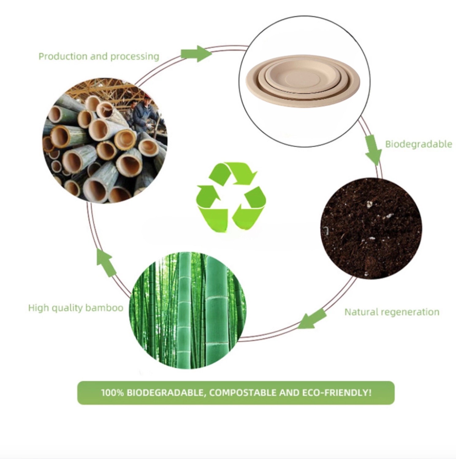 Bamboo lifecycle: from production to biodegradable and compostable plates