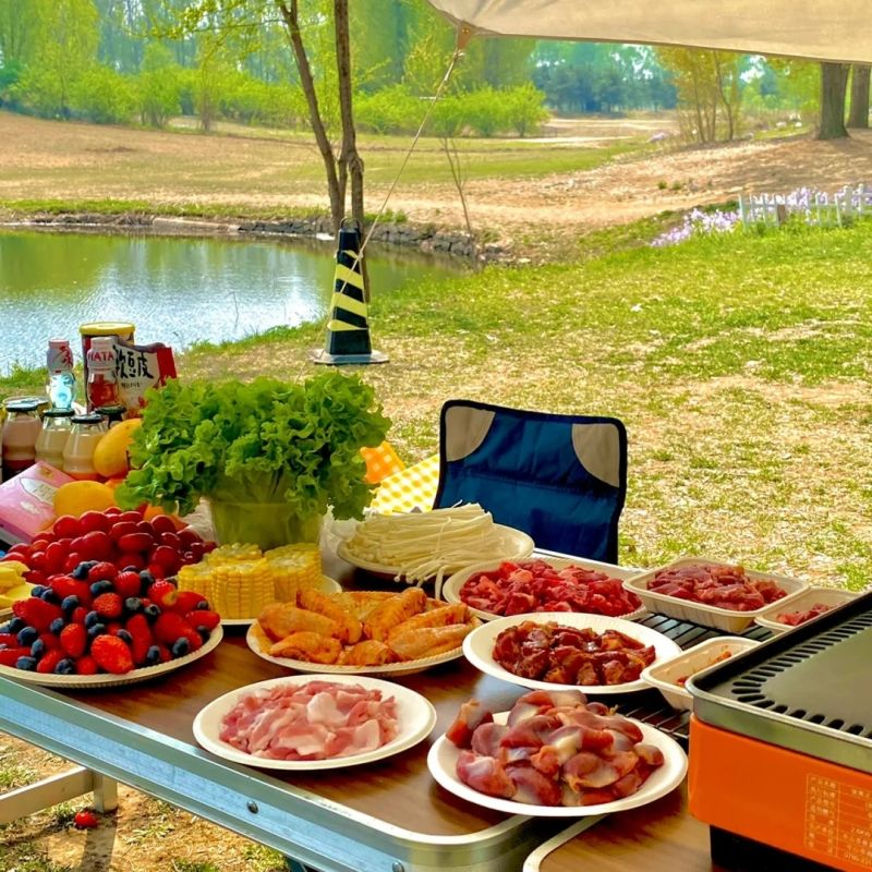 Outdoor picnic setup featuring fresh food served on biodegradable bamboo plates