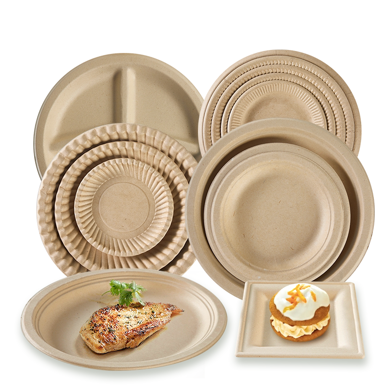 Various bamboo plates with food, showcasing different designs and sizes