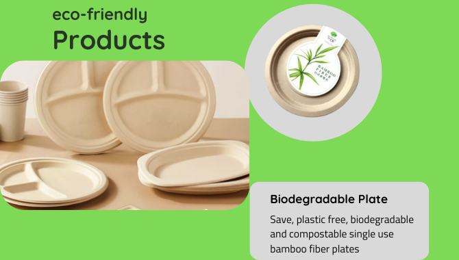 Biodegradable bamboo plates, eco-friendly disposable tableware