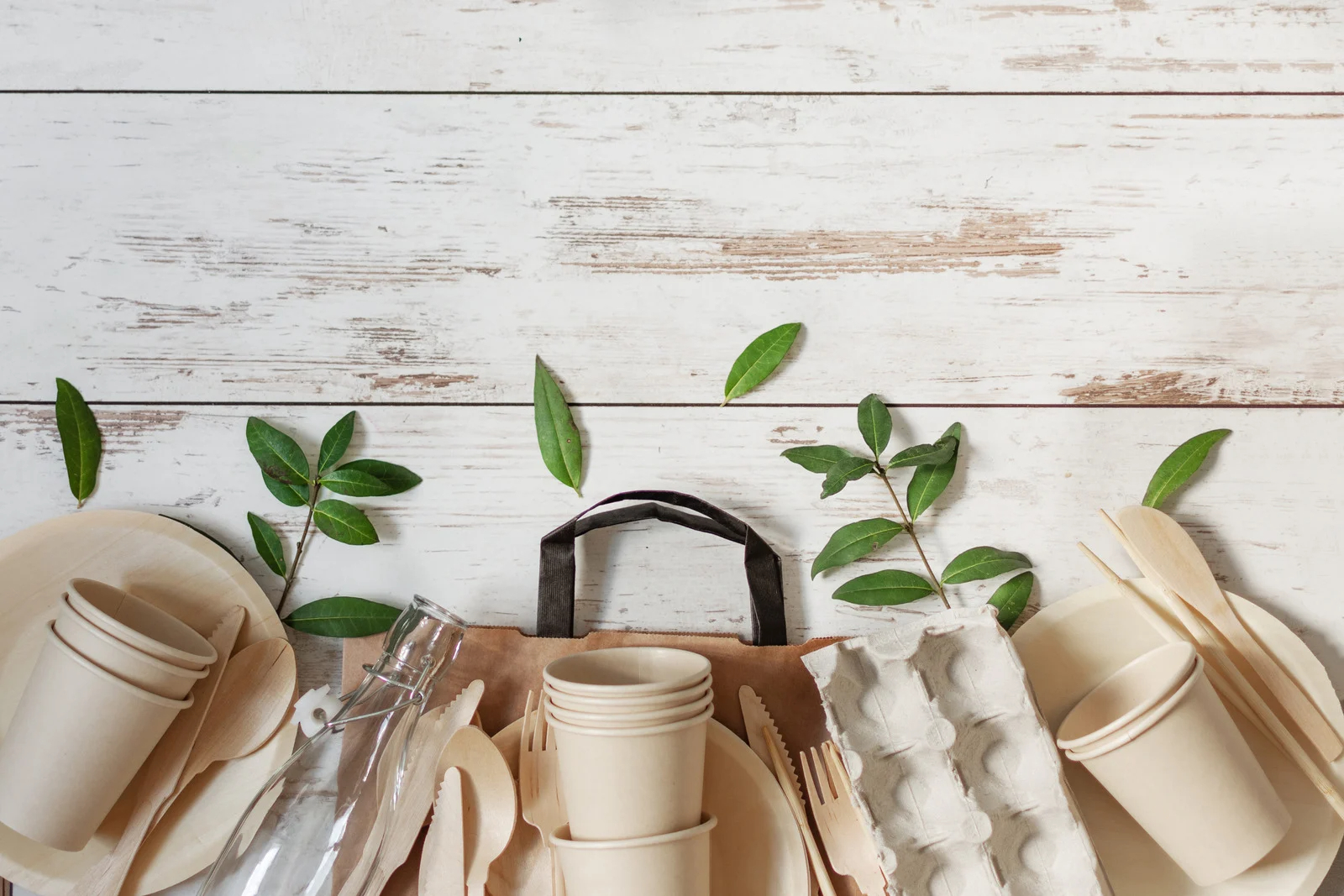 Eco-friendly bamboo tableware with leaves, disposable plates, cups, and utensils