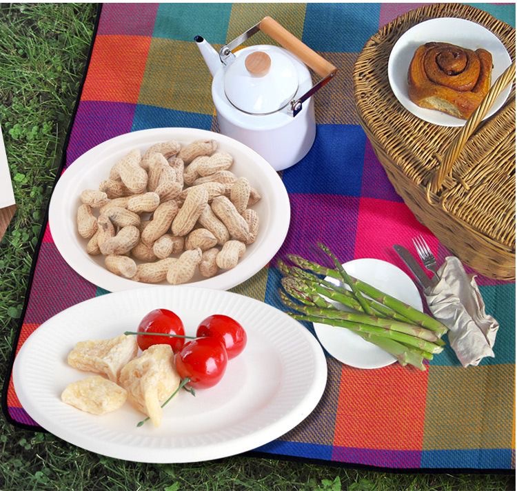 Biodegradable disposable plates, ideal for eco-friendly picnics and outdoor dining.