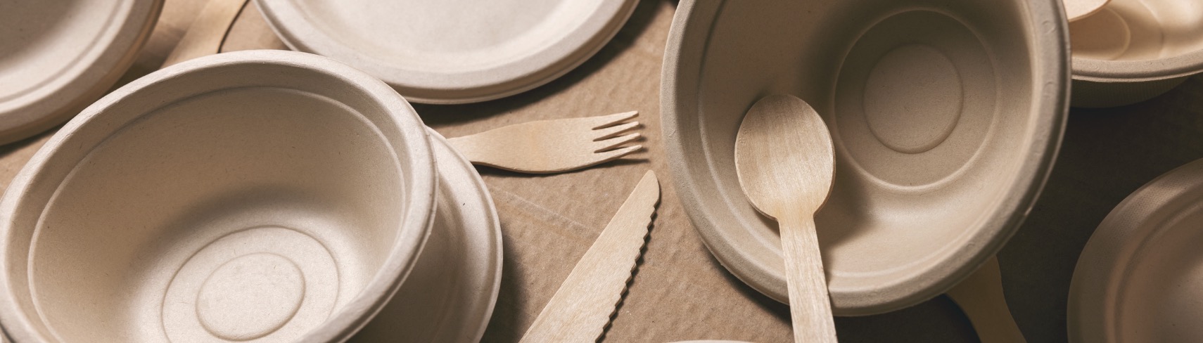 100% biodegradable bamboo pulp bowls and compostable bamboo cutlery set