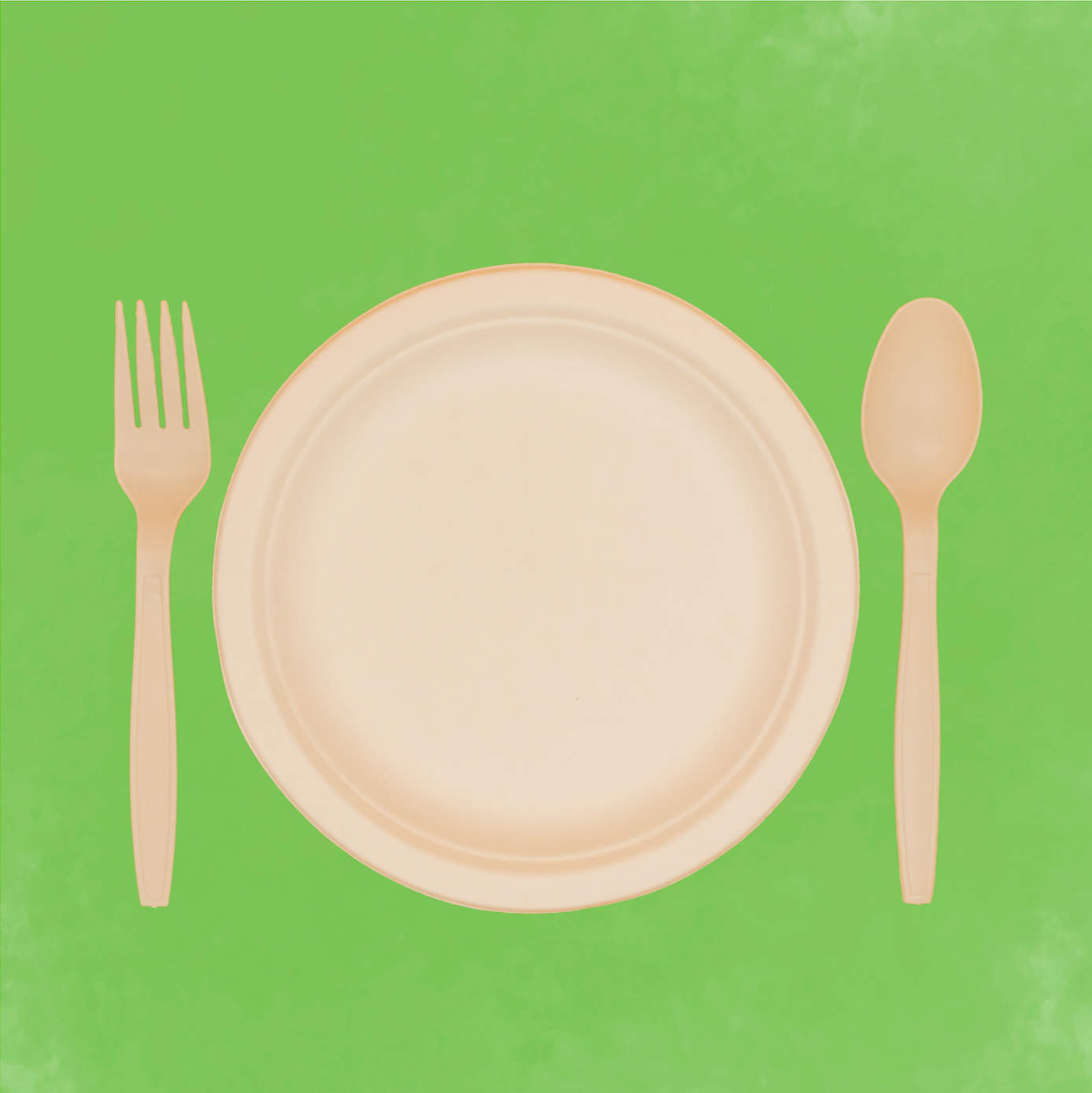 Eco-friendly bamboo plate and cutlery, sustainable disposable tableware