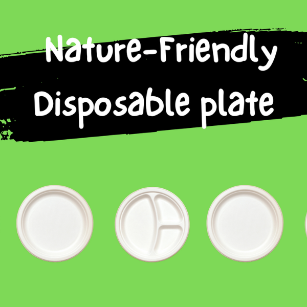 Eco-friendly disposable plates, showcasing biodegradable bamboo tableware, suitable for sustainable dining