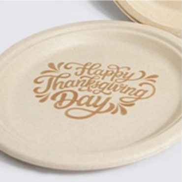 Bamboo fiber plate with 