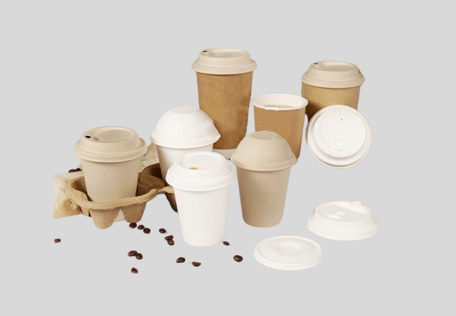 Eco-friendly bamboo and sugarcane pulp coffee cups with biodegradable lids – sustainable, compostable, and plastic-free