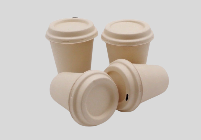 Eco-friendly bamboo and sugarcane pulp coffee cups with biodegradable lids – available in multiple sizes, plastic-free, and compostable