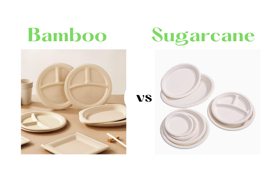 Bamboo vs Sugarcane tableware comparison