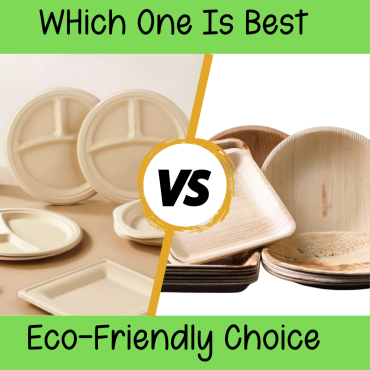 bamboo vs eco-friendly choice