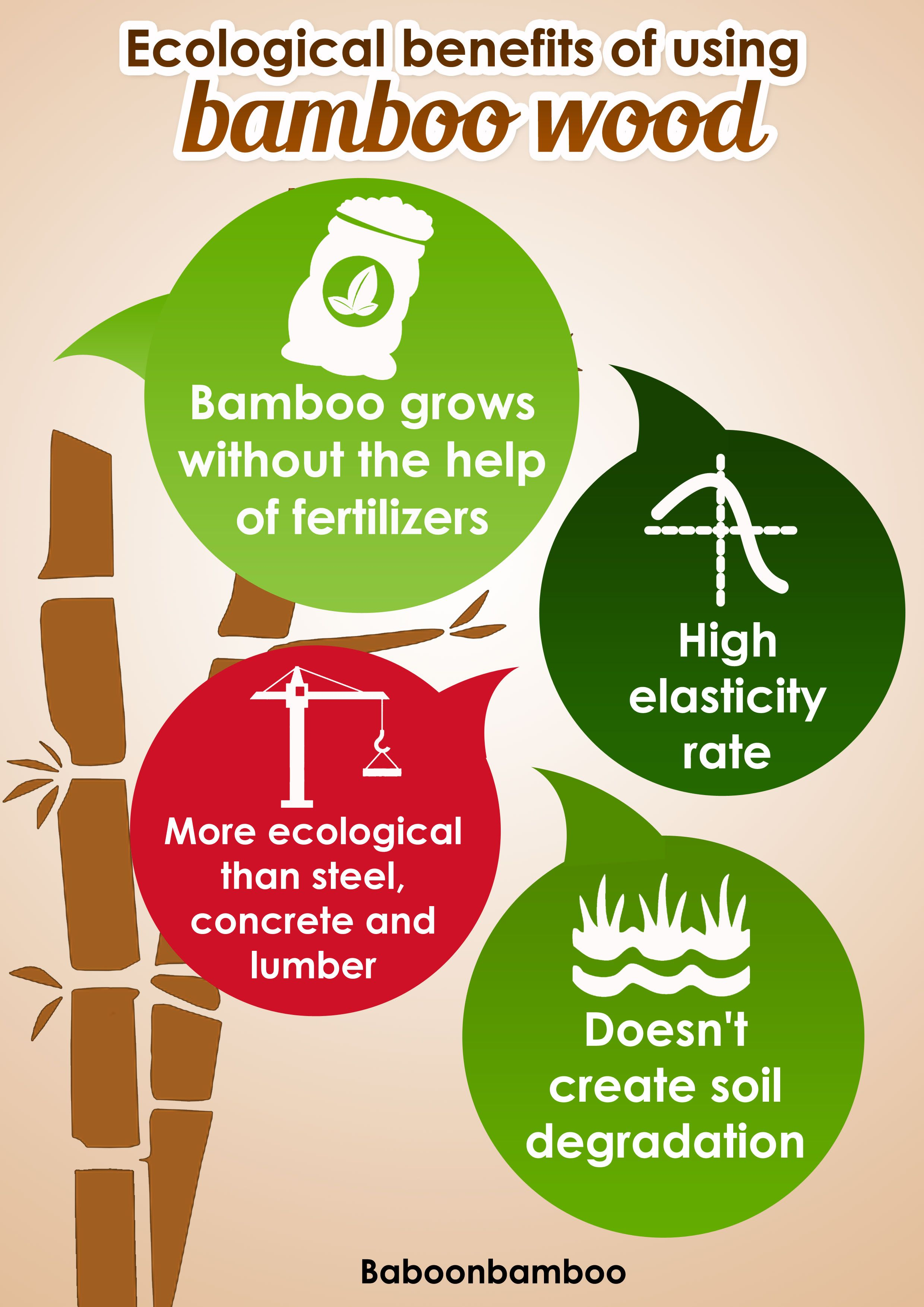 Ecological benefits of bamboo wood, showcasing its sustainability features