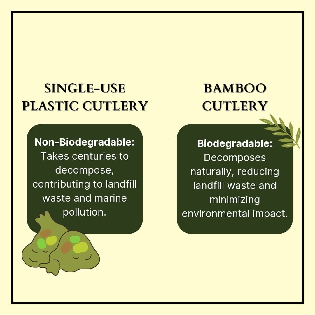 Comparison of single-use plastic cutlery vs. biodegradable bamboo cutlery